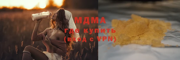 прущие грибы Верея