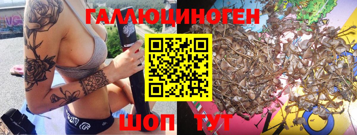 Псилоцибиновые грибы GOLDEN TEACHER  Вход с VPN  Мценск 